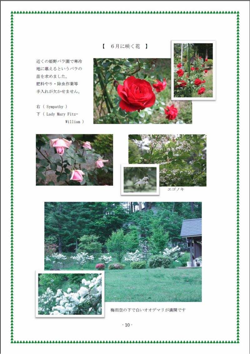 本間　10