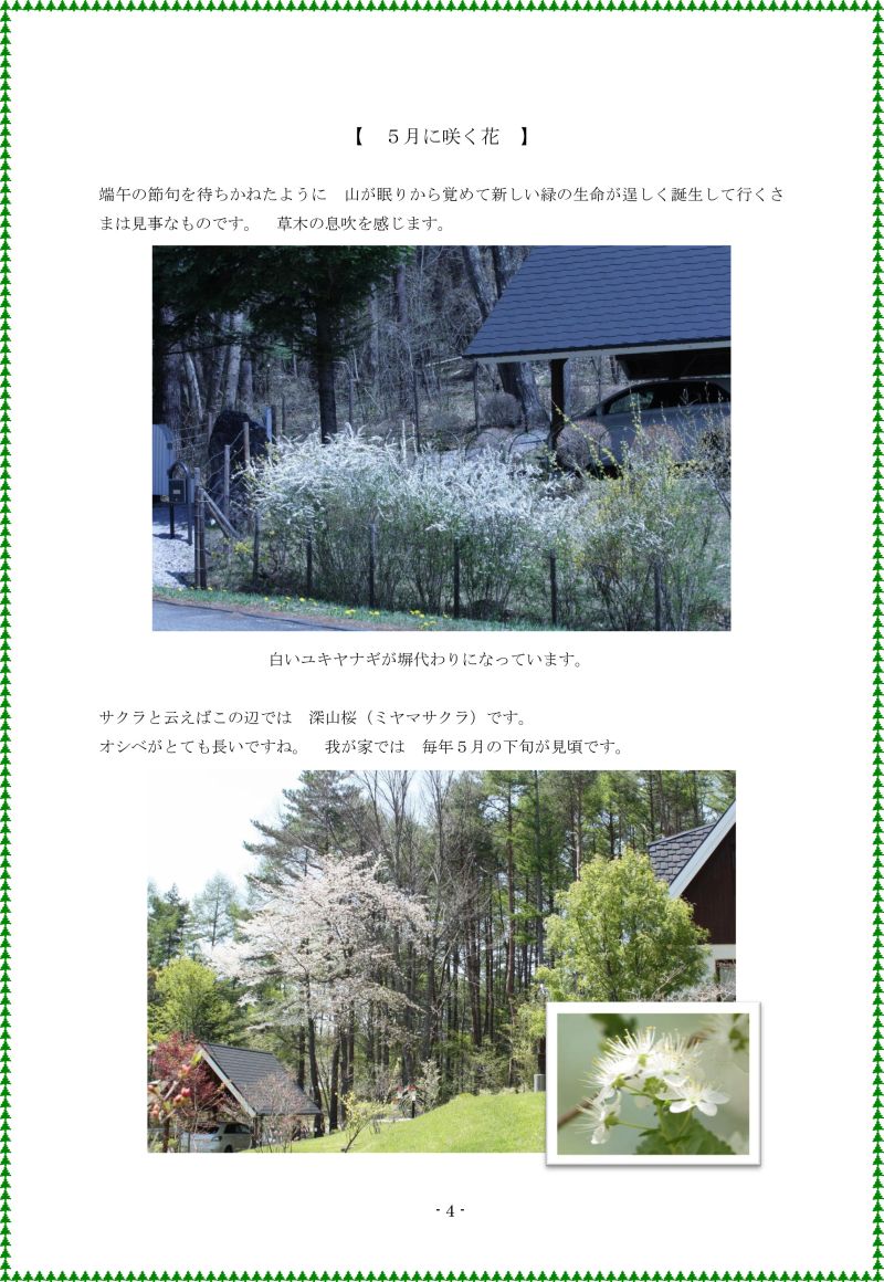 本間　4
