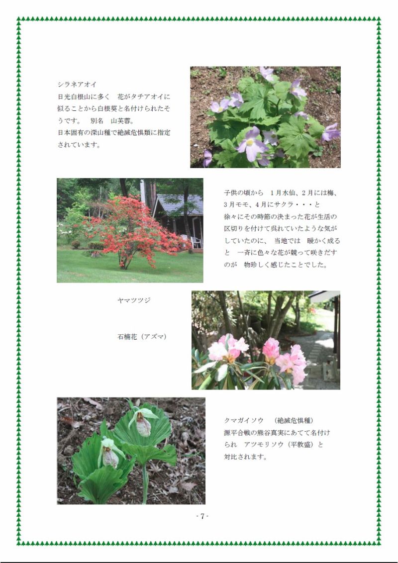 本間　5