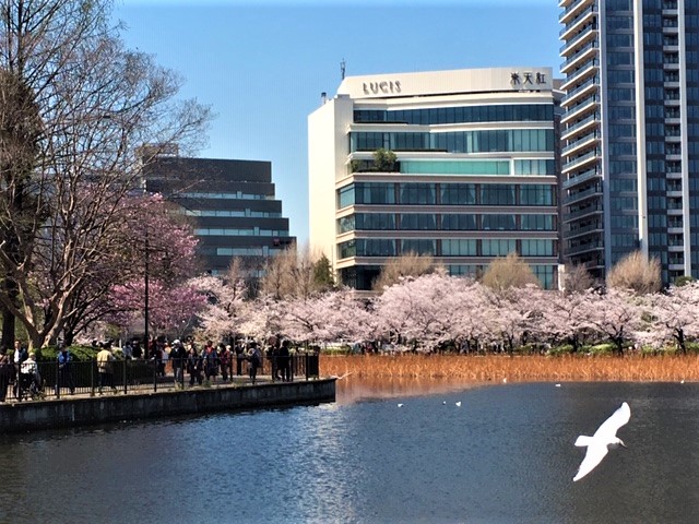 ゆぬき1